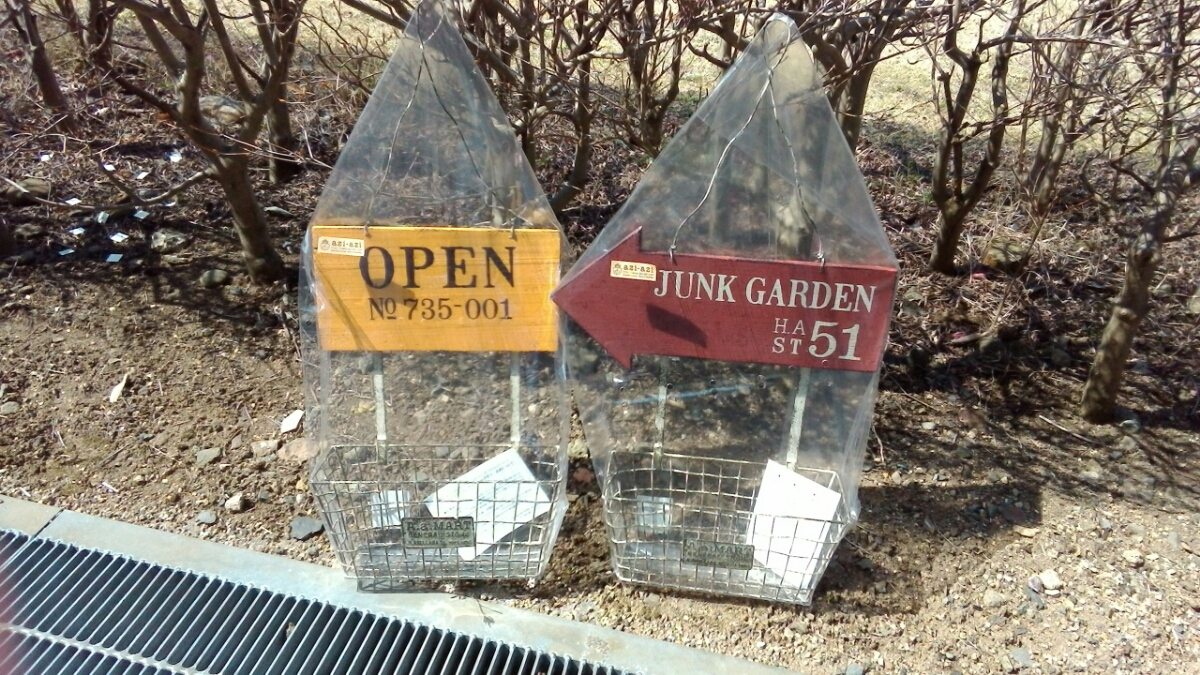 wp-1459301356138 image