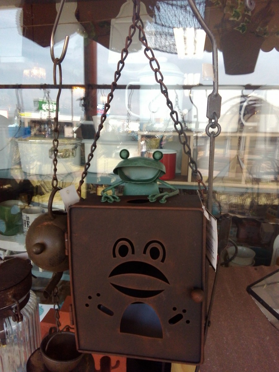 wp-1459645899183 image