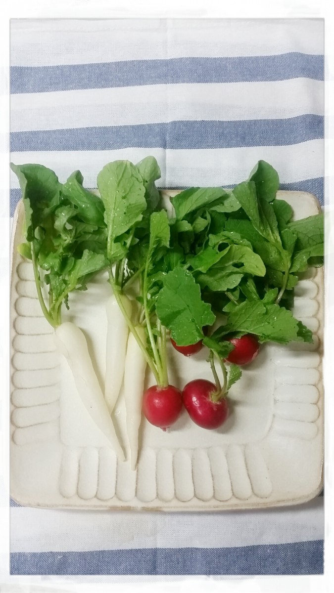 2016-05-11_10.48.13.jpg image
